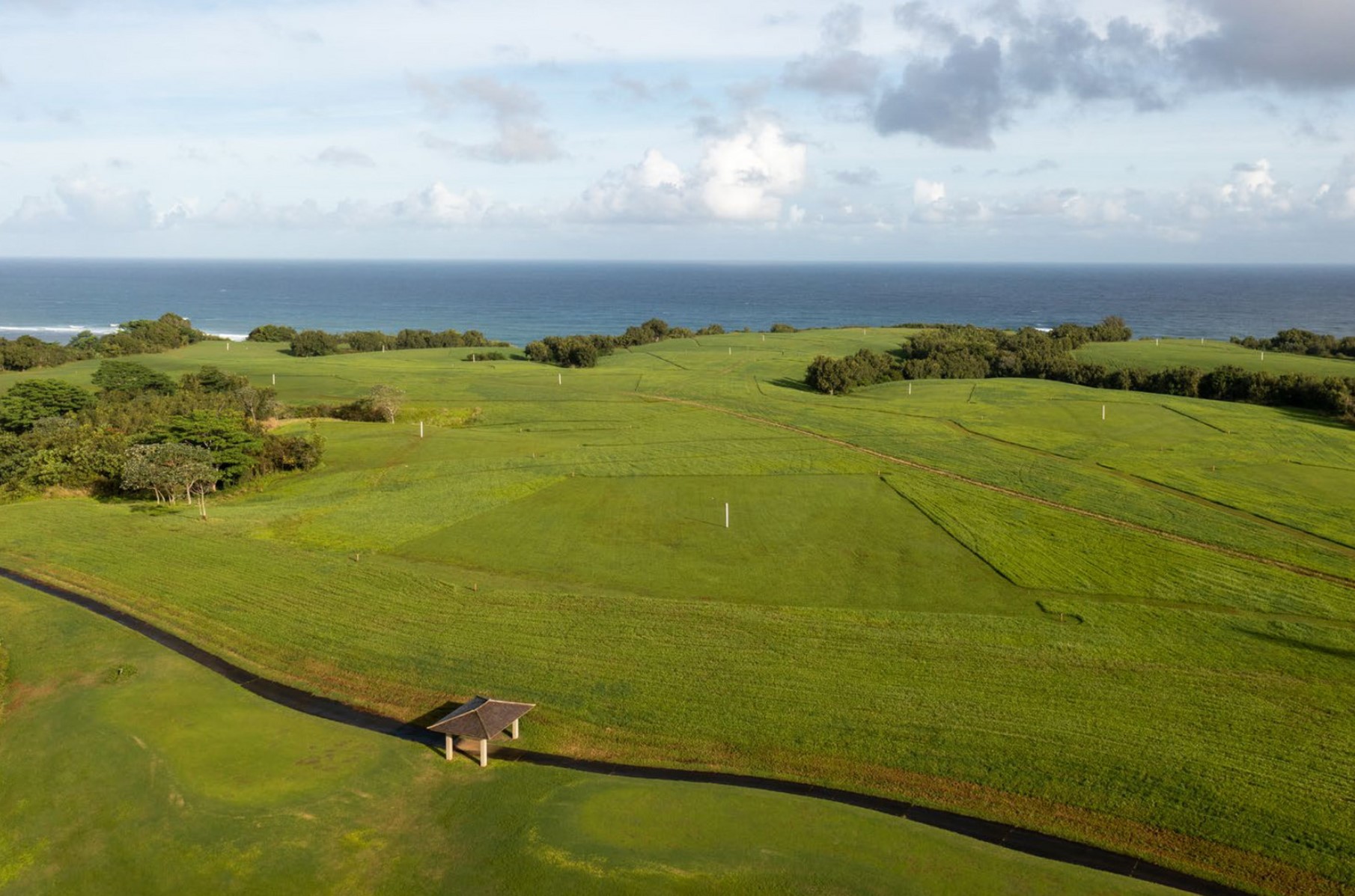 4132 Hihimanu Road Princeville, HI 96722 - Photo 3 of 3