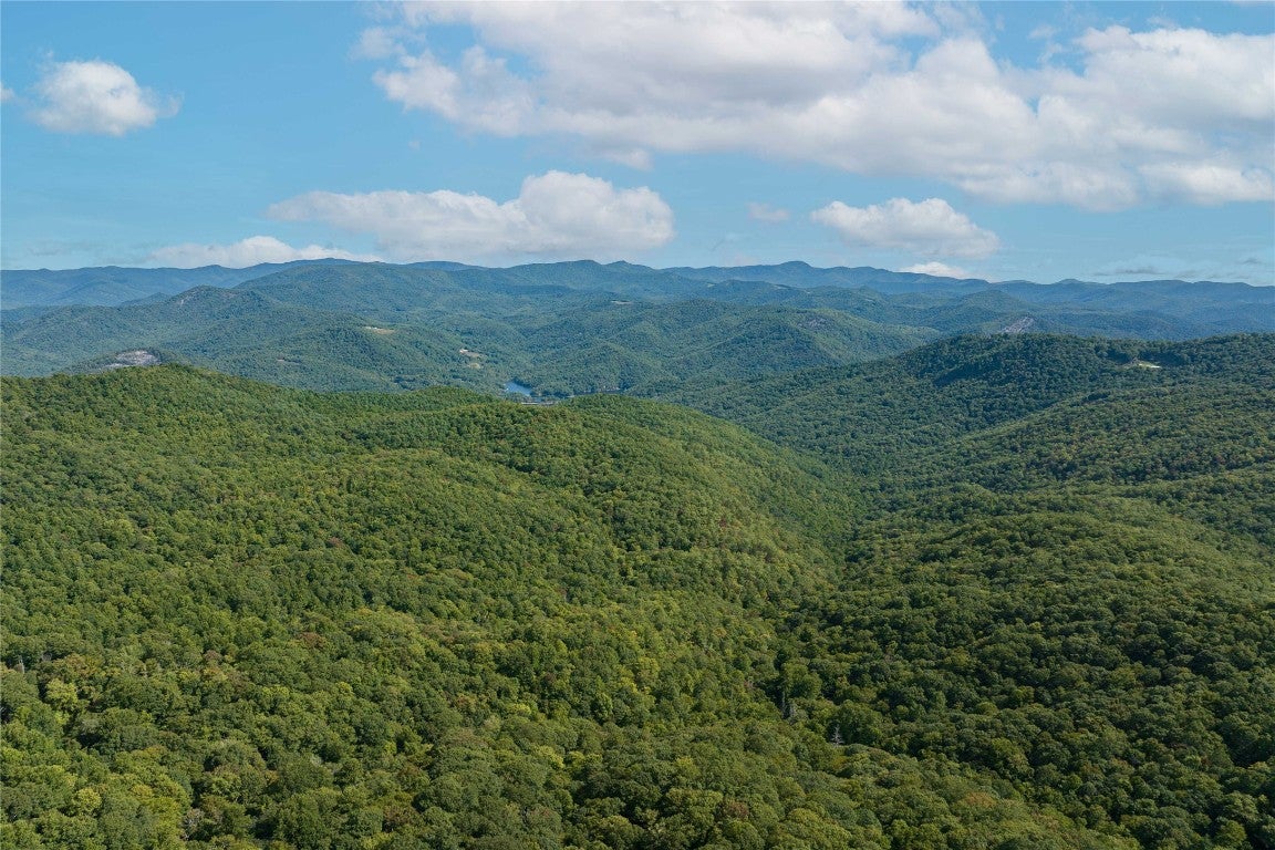 6370 Big Ridge Road Glenville, NC 28736 - Photo 11 of 77 Gallery Image 11