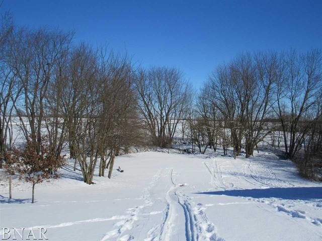 17748 Old Principal Road Le Roy, IL 61752 - Photo 12 of 30