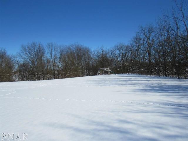 17748 Old Principal Road Le Roy, IL 61752 - Photo 13 of 30