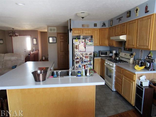 17748 Old Principal Road Le Roy, IL 61752 - Photo 18 of 30