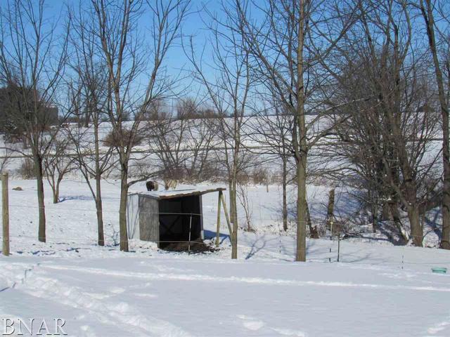 17748 Old Principal Road Le Roy, IL 61752 - Photo 7 of 30