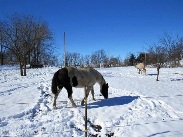 17748 Old Principal Road Le Roy, IL 61752 - Photo 8 of 30