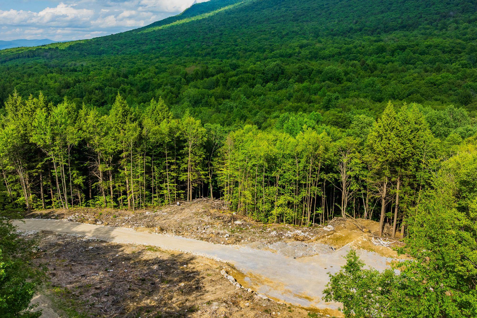 0 Alden Road, Unit LAND LOT #18 Sunderland, VT 05250 - Photo 12 of 15