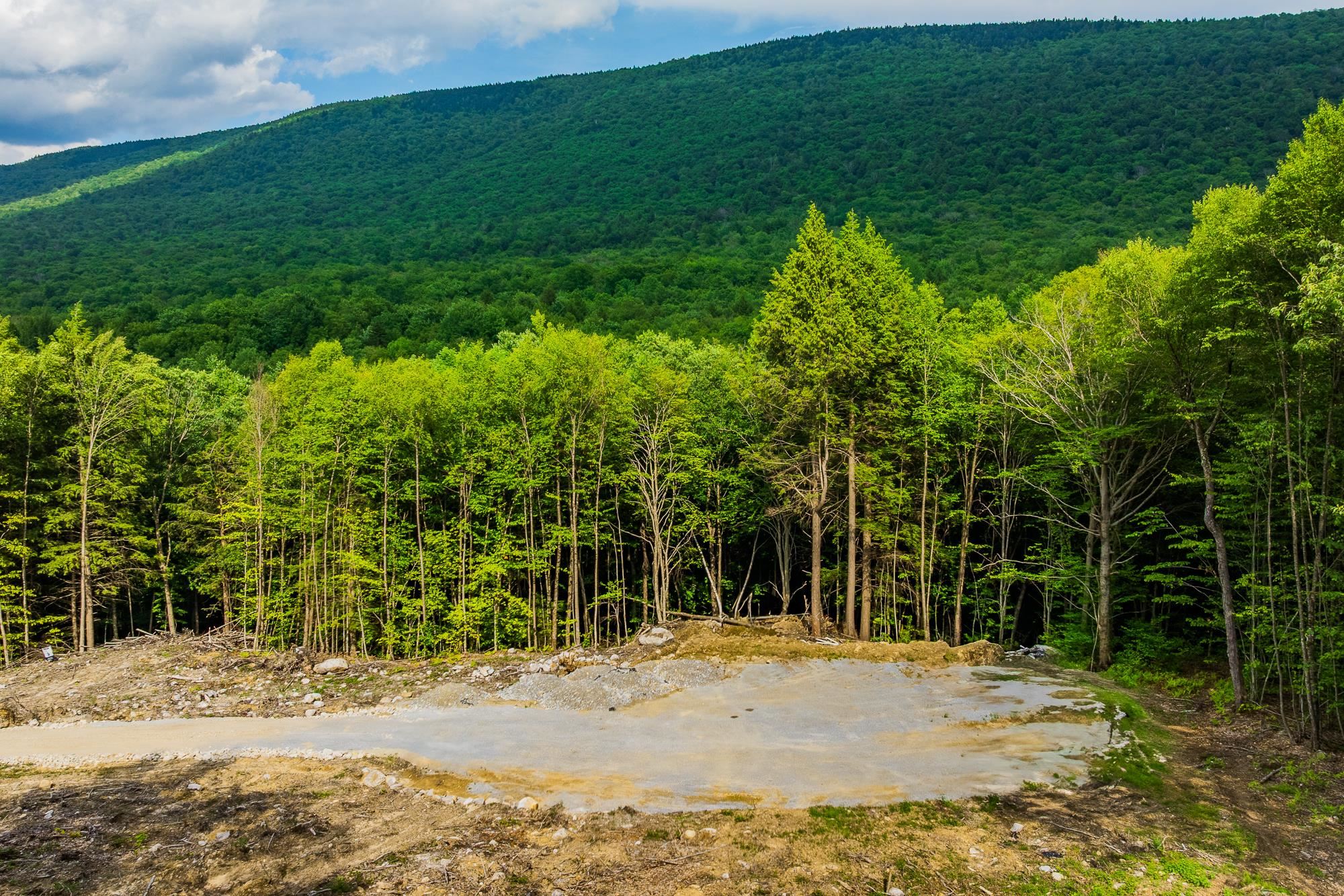 0 Alden Road, Unit LAND LOT #18 Sunderland, VT 05250 - Photo 14 of 15