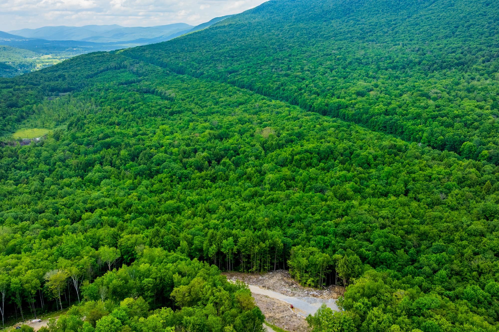 0 Alden Road, Unit LAND LOT #18 Sunderland, VT 05250 - Photo 4 of 15