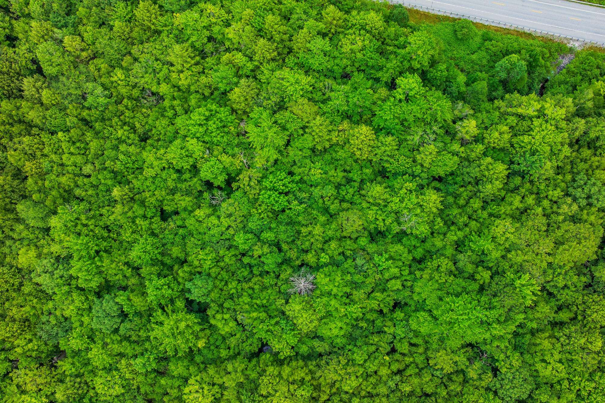 0 Alden Road, Unit LAND LOT #18 Sunderland, VT 05250 - Photo 5 of 15