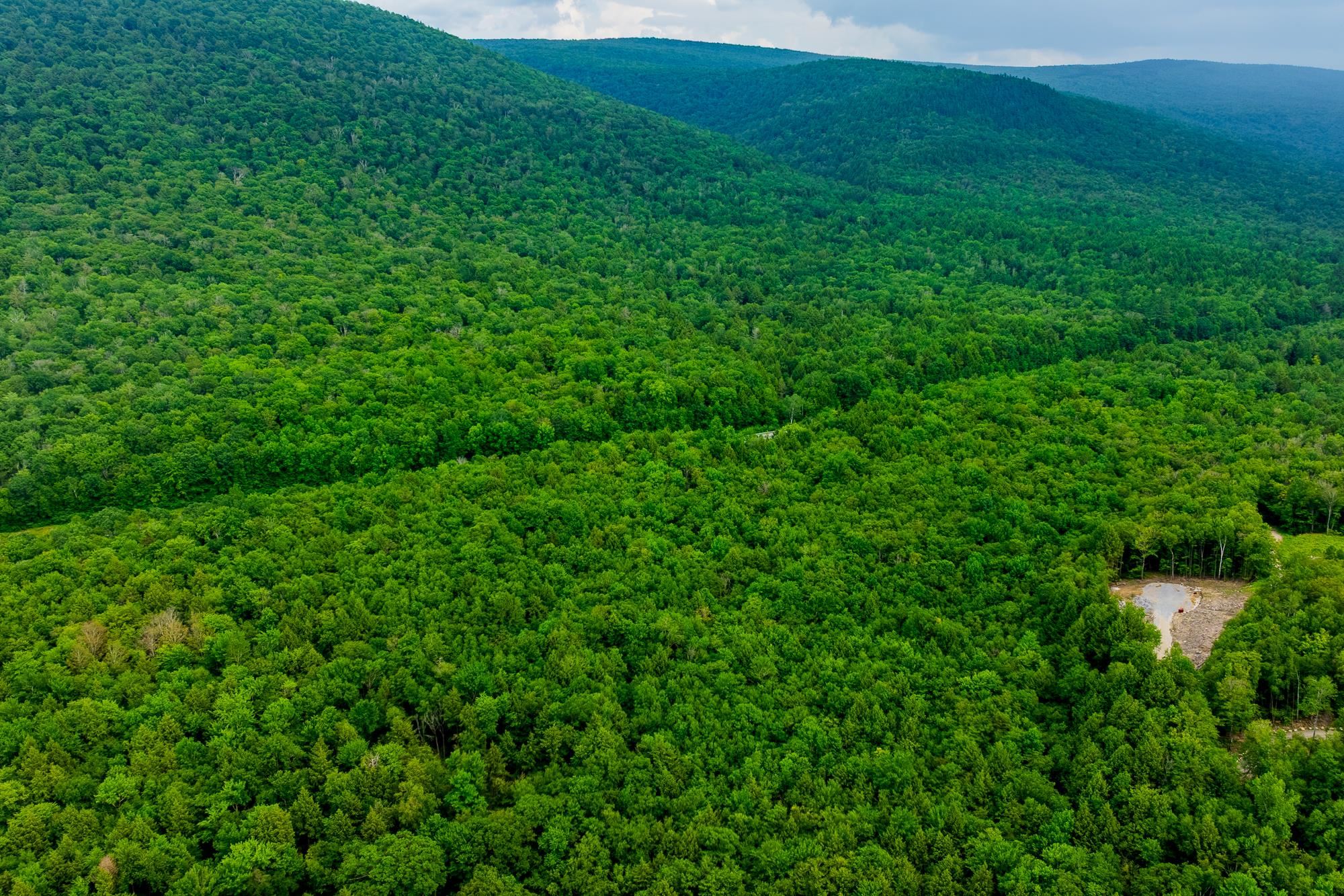 0 Alden Road, Unit LAND LOT #18 Sunderland, VT 05250 - Photo 7 of 15