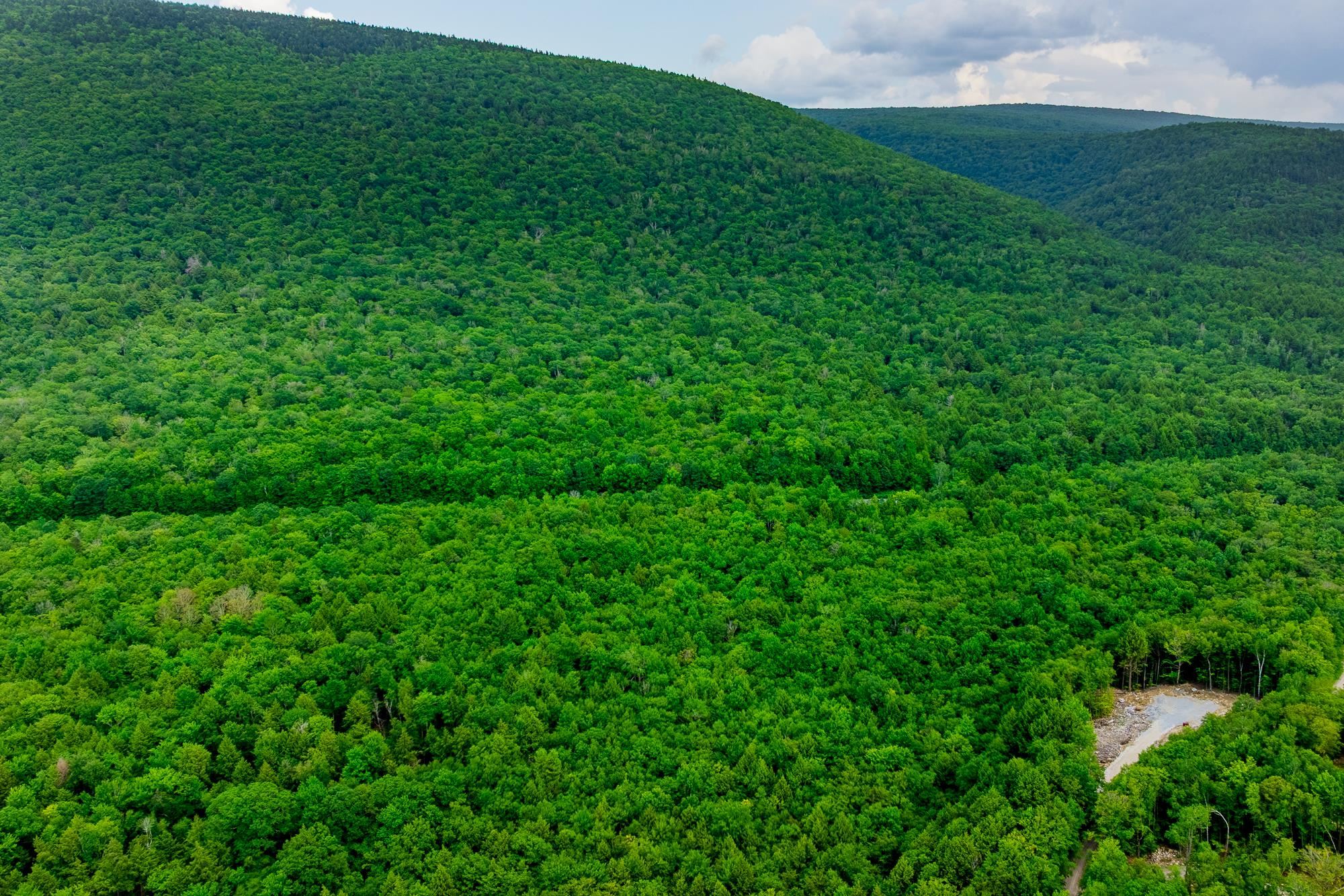 0 Alden Road, Unit LAND LOT #18 Sunderland, VT 05250 - Photo 8 of 15