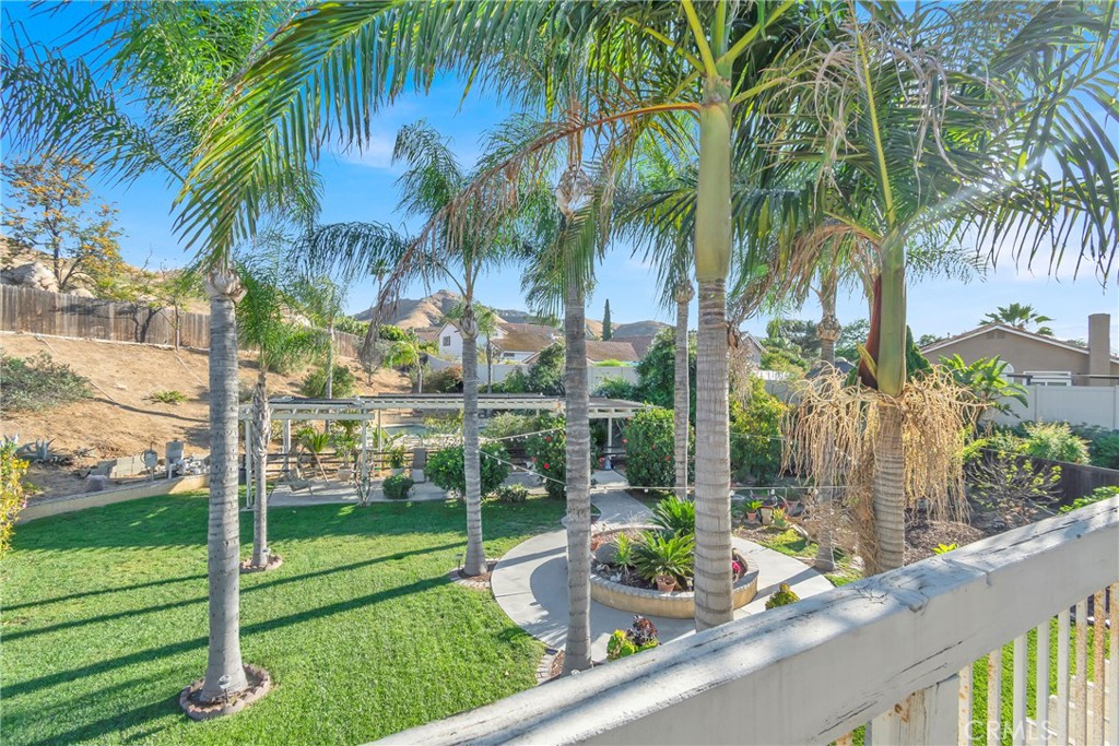 3350 May Court Riverside, CA 92503 - Photo 25 of 55 a view of a yard and a palm tree