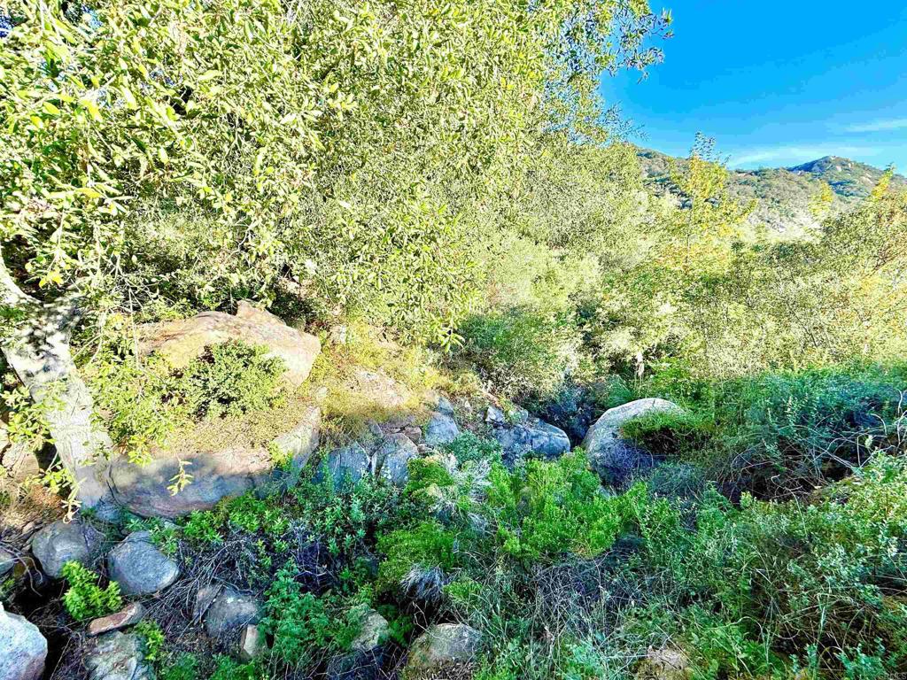 0 Mt Olympus Valley Road Fallbrook, CA 92028 - Photo 15 of 50