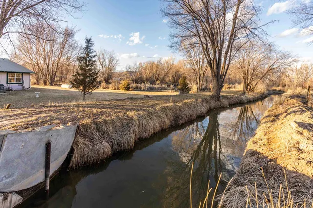 a view of a yard with trees