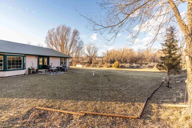 a view of a big yard next to a large tree