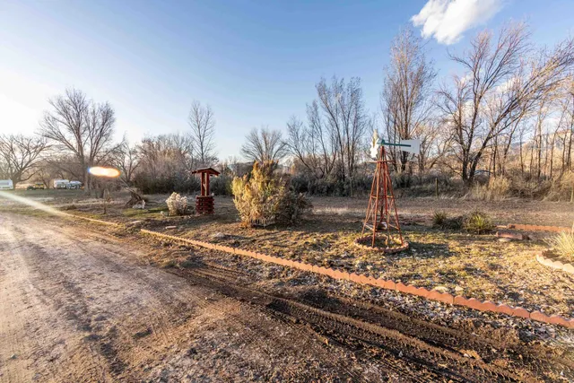 a view of a backyard with large trees