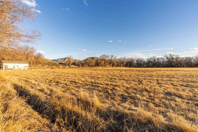 a view of outdoor space with lots of trees
