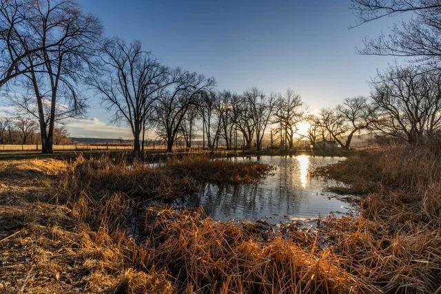 a view of lake view with lots of trees