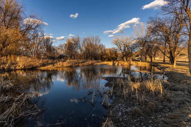 a view of road with trees