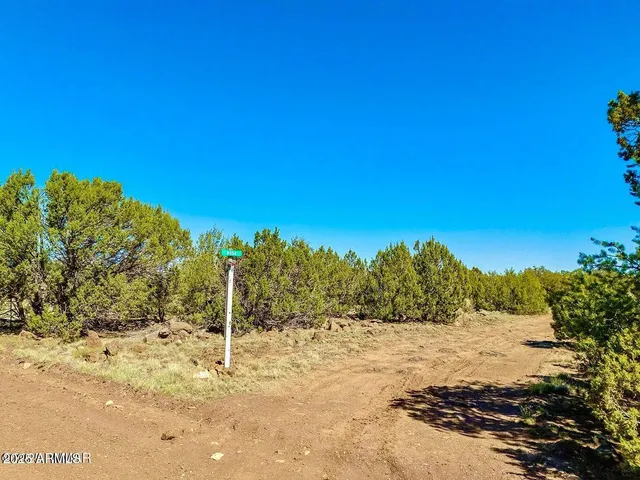 $7,900 | 128 Co Road, Show Low, AZ 85901