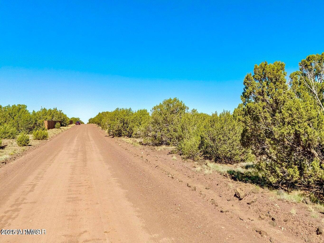128 Co Road Show Low, AZ 85901 - Photo 6 of 9 a view of a road with a yard