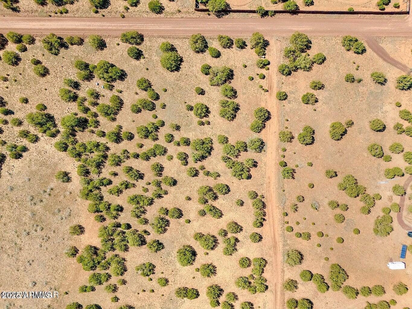 128 Co Road Show Low, AZ 85901 - Photo 9 of 9 a view of bathroom