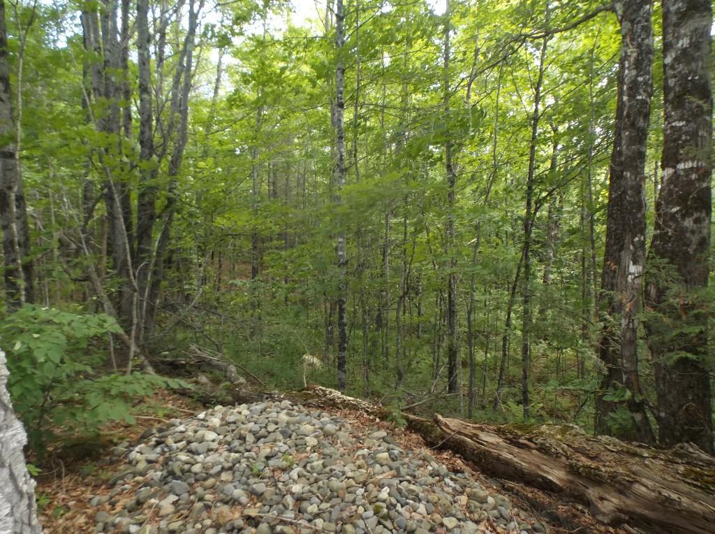 97 Athens Road Harmony, ME 04942 - Photo 21 of 31 Photo