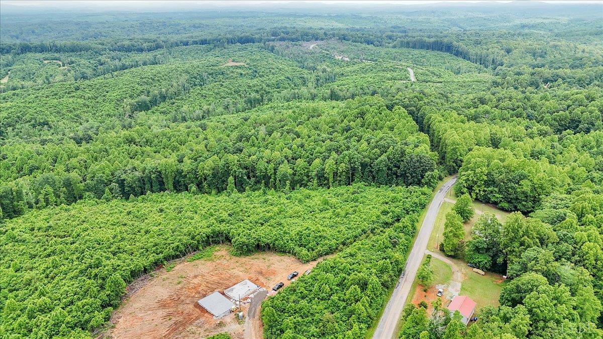 38 Frank Redd Road Fieldale, VA 24089 - Photo 12 of 12 a view of a lush green forest with large trees