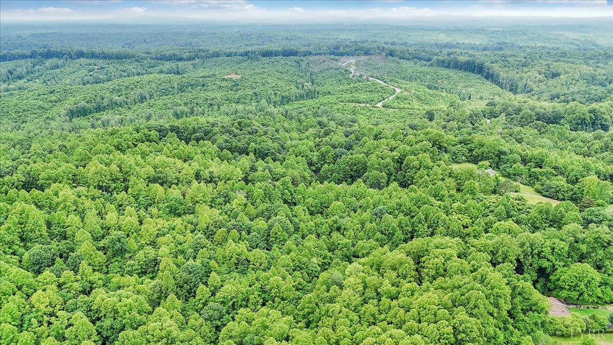 38 Frank Redd Road Fieldale, VA 24089 - Photo 3 of 12 a view of a field of grass and trees