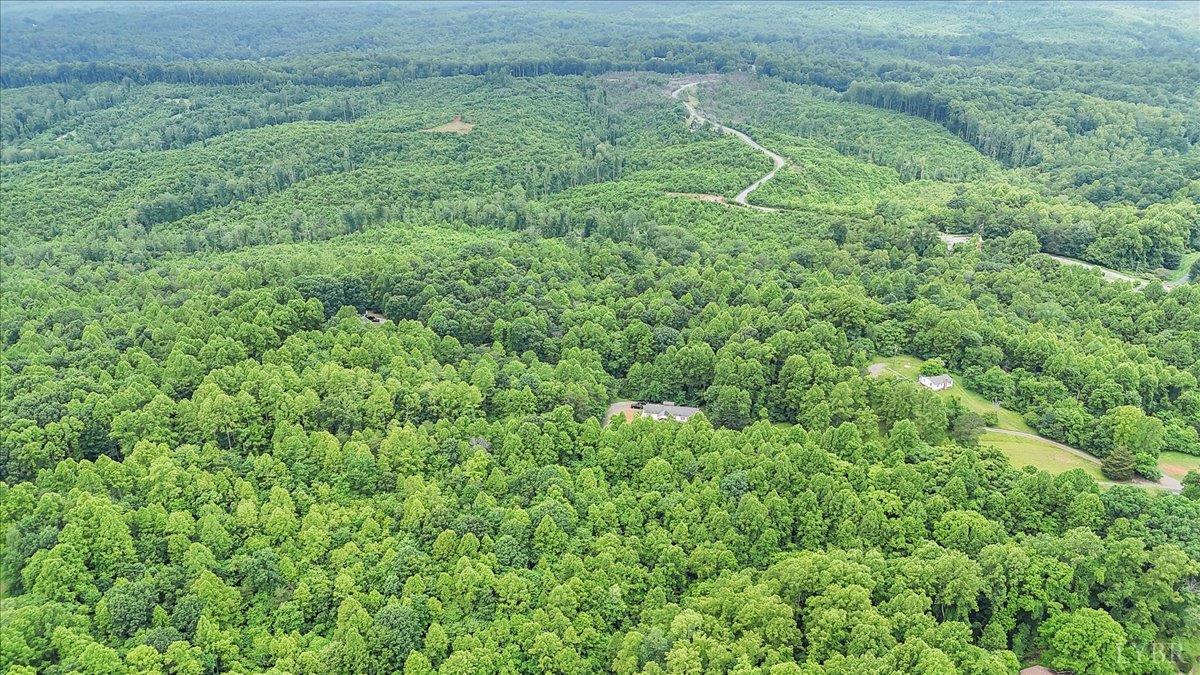 38 Frank Redd Road Fieldale, VA 24089 - Photo 4 of 12 a view of a lush green forest