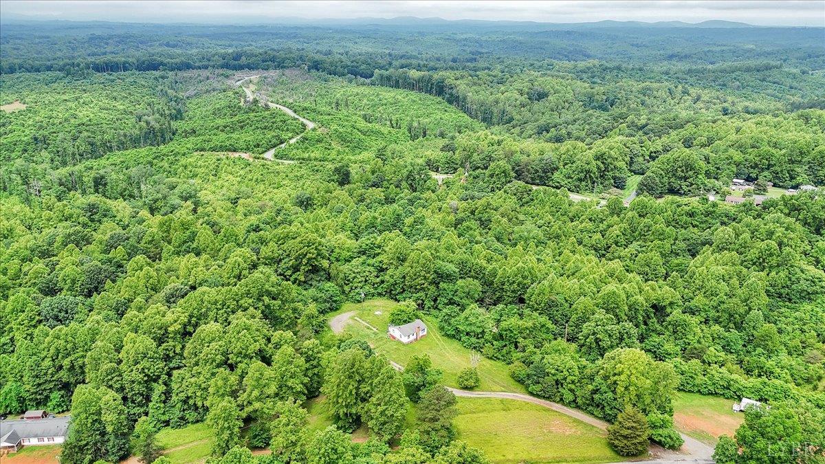 38 Frank Redd Road Fieldale, VA 24089 - Photo 7 of 12 a view of a forest with a houses