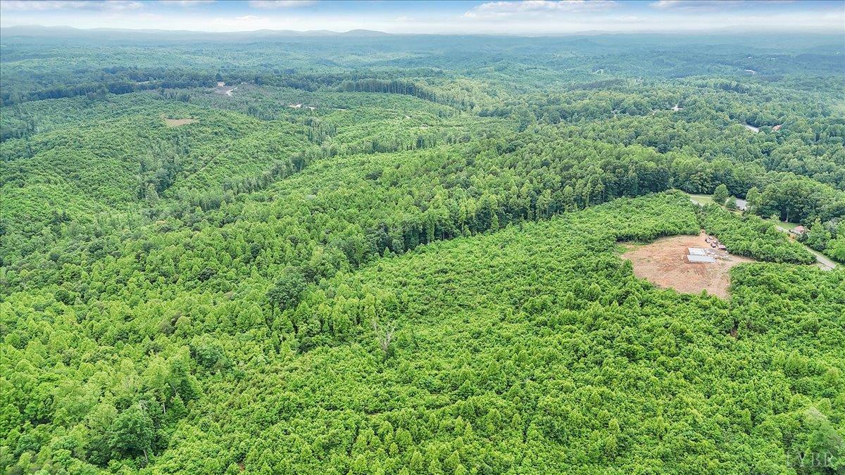 38 Frank Redd Road Fieldale, VA 24089 - Photo 9 of 12 a view of a lush green field