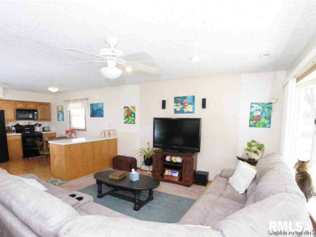 1637 North 20th Street Springfield, IL 62702 - Photo 7 of 34