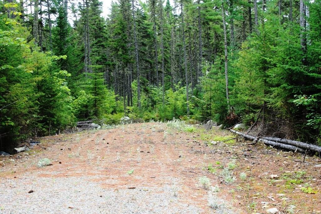 13 Tomhegan Road Rockwood, ME 04478 - Photo 3 of 10 Photo
