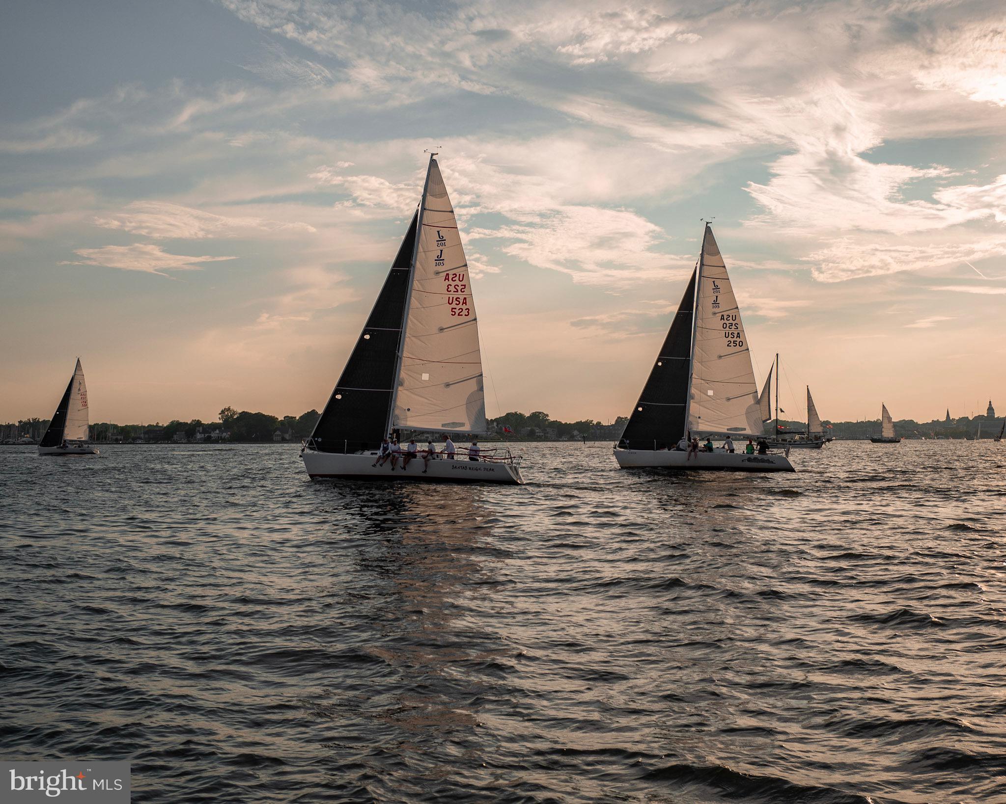 1009 Old Bay Ridge Road Annapolis, MD 21403 - Photo 7 of 91