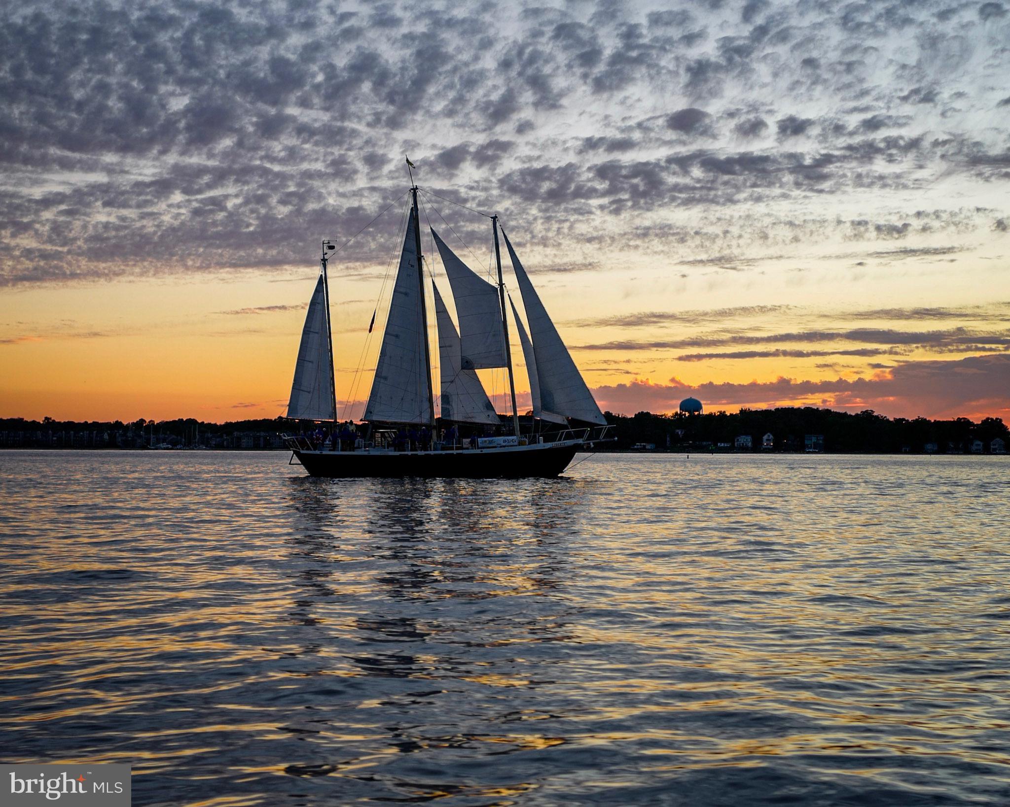 1009 Old Bay Ridge Road Annapolis, MD 21403 - Photo 82 of 91