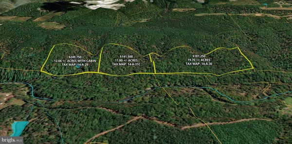 a view of a room with a plant in the back yard