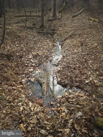 a view of a covered with trees