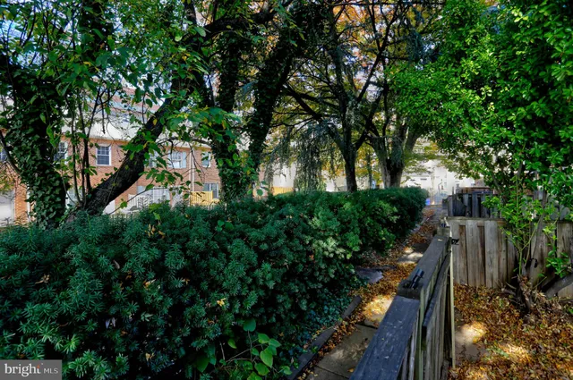 a view of an outdoor space with a tree