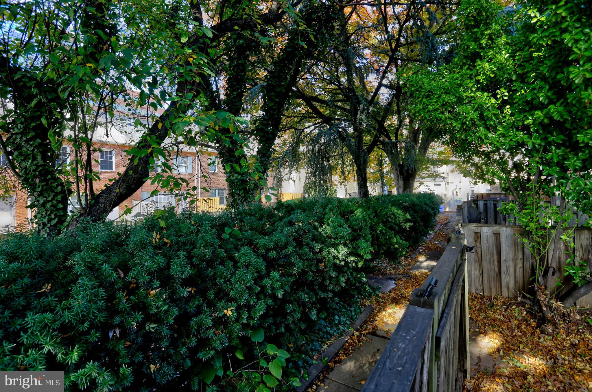 410 South Washington Street Baltimore, MD 21231 - Photo 23 of 29 a view of an outdoor space with a tree