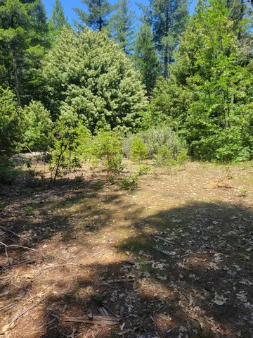a view of beach and space