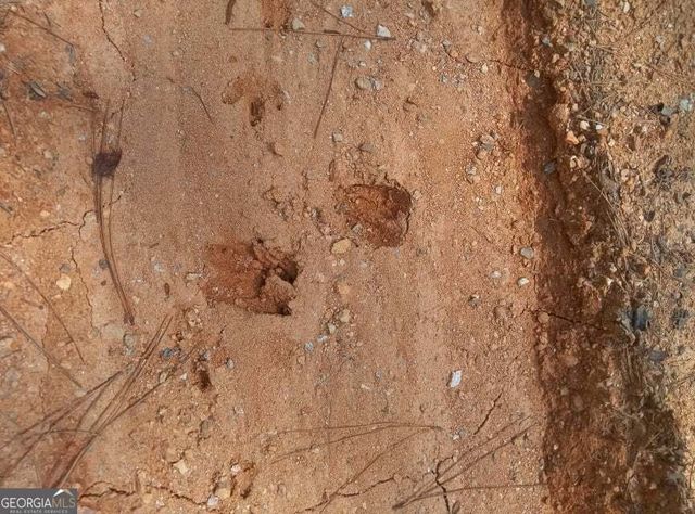 a view of house with street