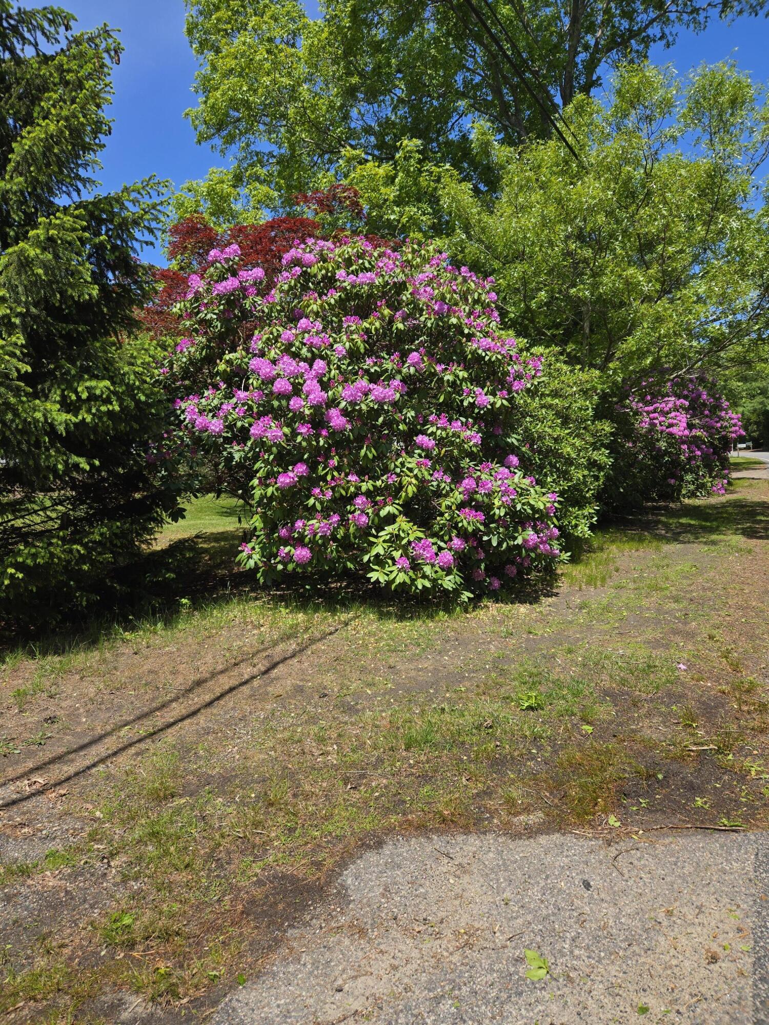 199 Cammett Road Marstons Mills, MA 02648 - Photo 22 of 23 20260531_130044