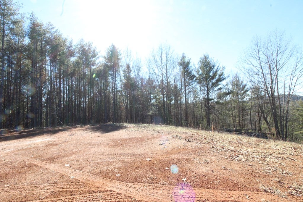 Tbd Ivanhoe Road, Unit 60A34 Fries, VA 24330 - Photo 36 of 45 Gallery Image 36