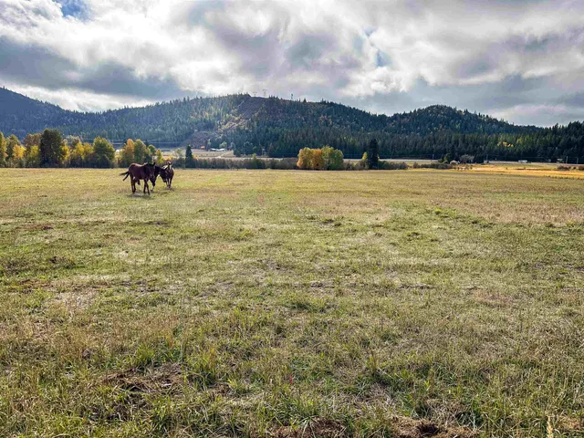 $895,000 | 320871 Highway 2, Newport, WA 99156