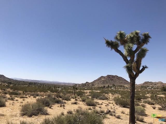 62772 Quail Springs Road Joshua Tree, CA 92252 - Photo 4 of 6 18-360826PS_81233f0c-01b0-4aae-9998-02f1