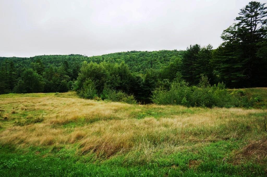 39 Rhoades Road, Unit 7 Alstead, NH 03602 - Photo 8 of 10