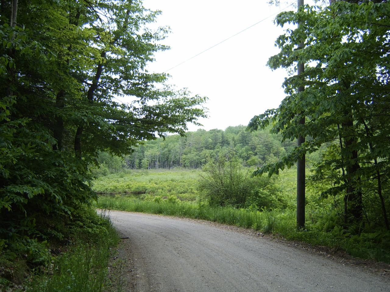 Cross Place Road Becket, MA 01223 - Photo 3 of 6 a view of a yard with plants and large trees