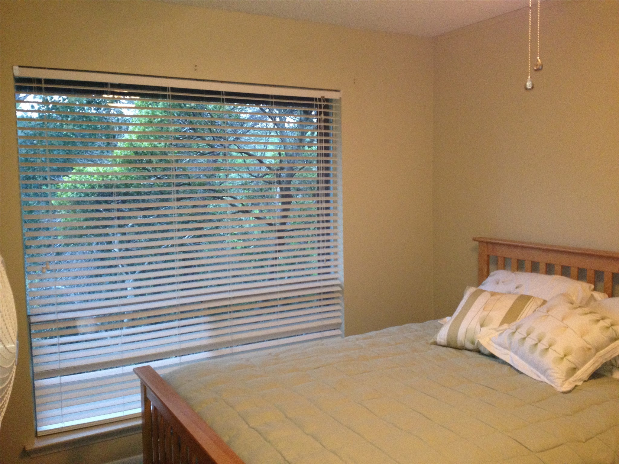 1202 Double Bend Back Road West Lake Hills, TX 78746 - Photo 6 of 7 Secondary bedroom at front of home offers privacy.