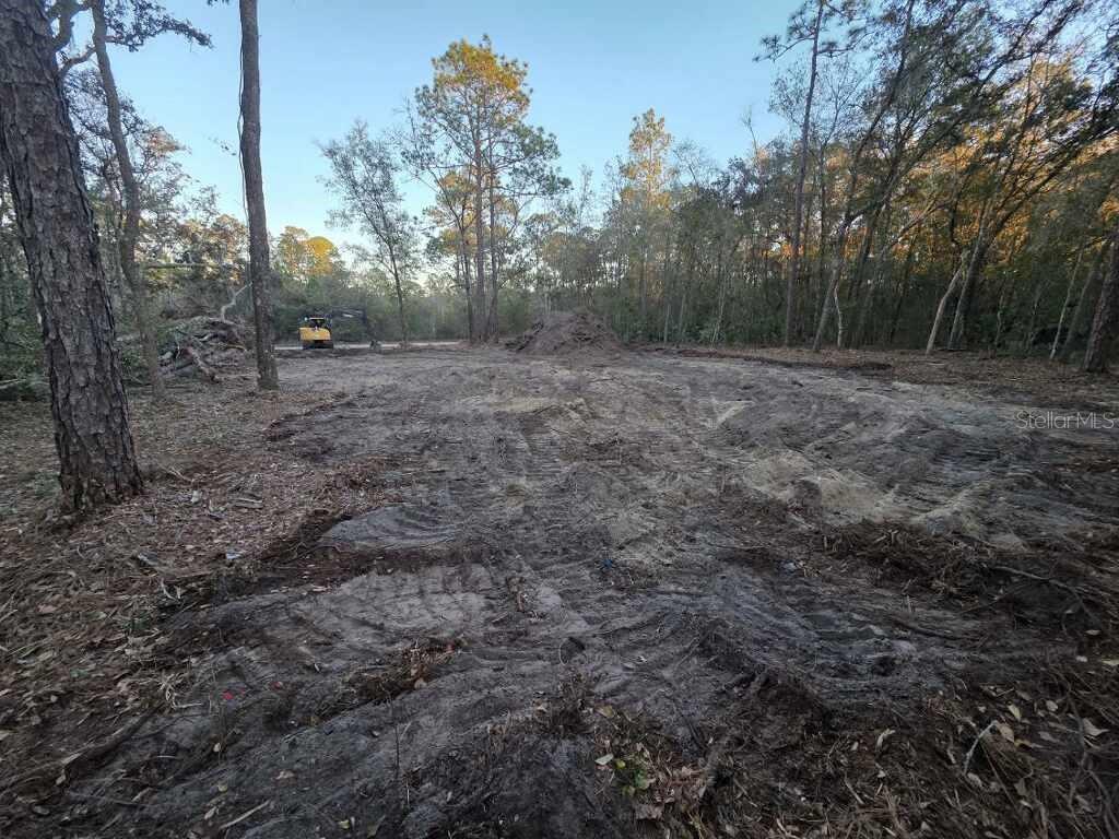 129 Seminole Avenue Interlachen, FL 32148 - Photo 2 of 2 a view of a outdoor space with trees