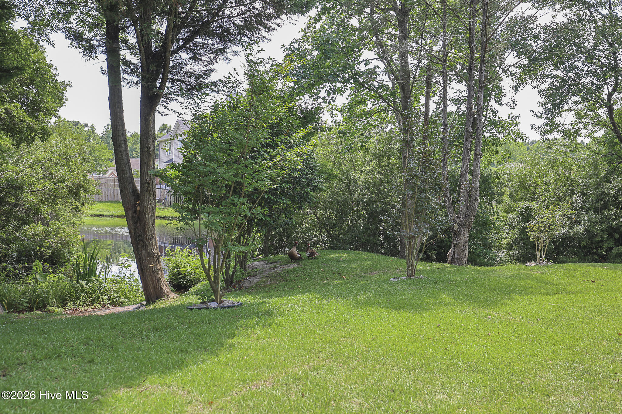 217 Rutherford Way Jacksonville, NC 28540 - Photo 77 of 96
