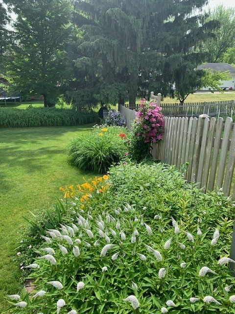 18 Jennifer Lane DeKalb, IL 60115 - Photo 48 of 48 a view of a garden with plants and large trees